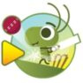 Google Cricket